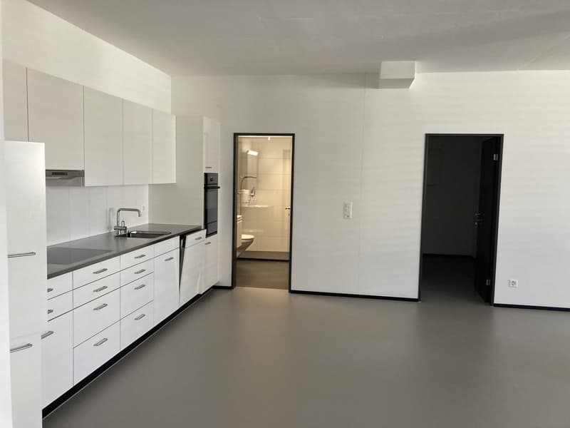 2.5 Zimmer Wohnung an der Gertrudstrasse (1)