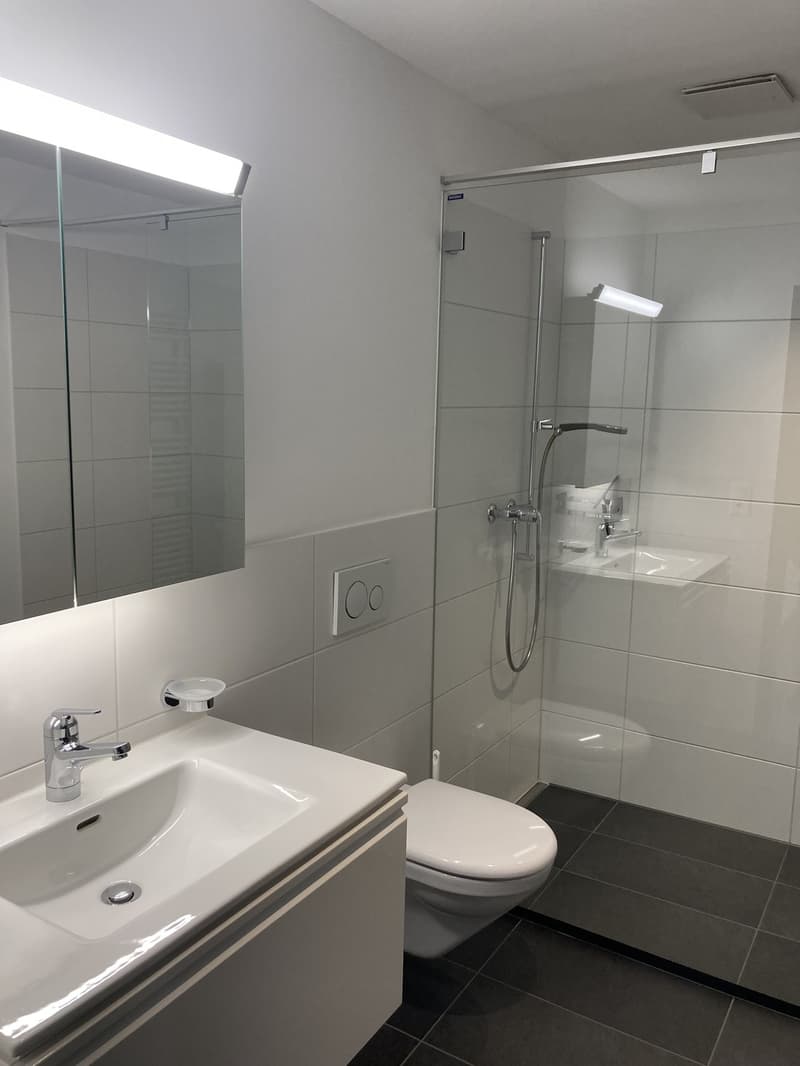 2.5 Zimmer Wohnung an der Gertrudstrasse (7)