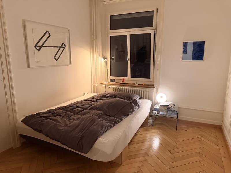 Chambre et appartement à Hottingen en sous-location (environ 15.08 au 18.09) (2)