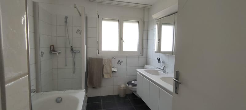 Chambre dans une colocation conviviale à louer (9)