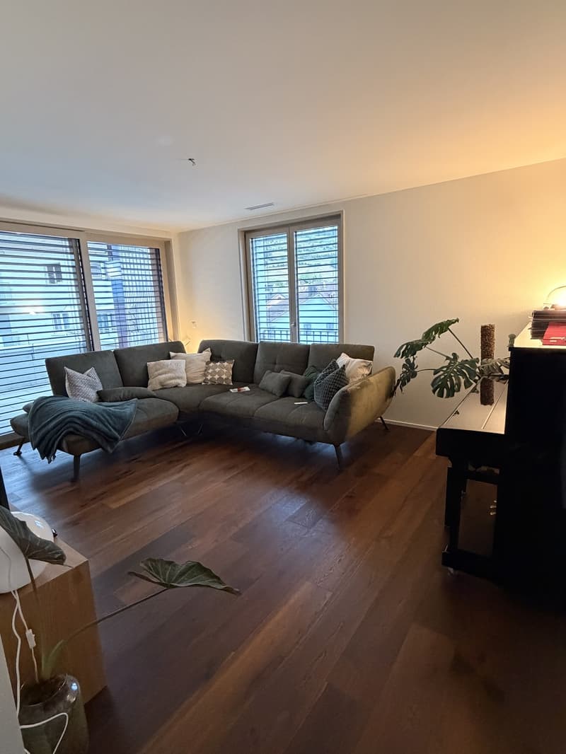 Moderne, helle Neubauwohnung sucht neuen Nachmieter (10)
