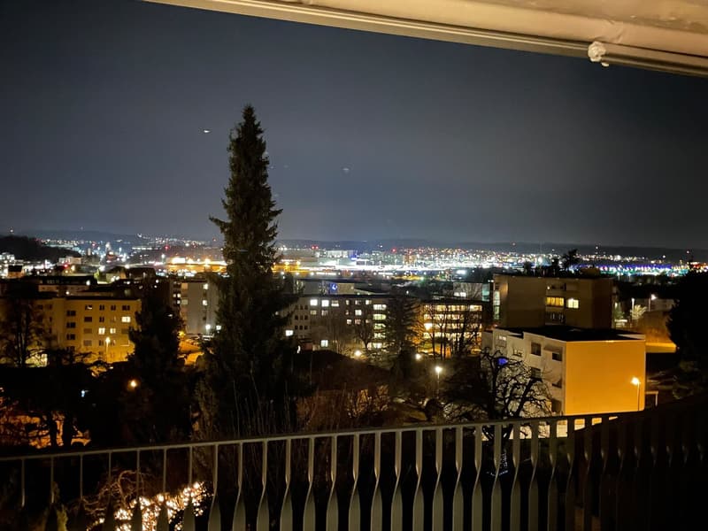 2 ½ Zimmer-Wohnung, 8302 Kloten (9)