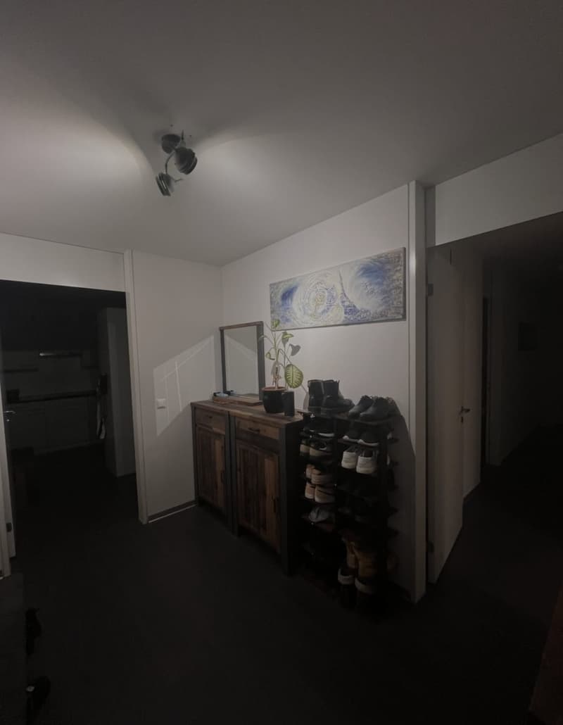 Professional shared accommodation all inclusive, with private bathroom, cleaning lady, large balcony: central (10 min to main station, 4 min to Oerlikon + 5 min to airport) (9)