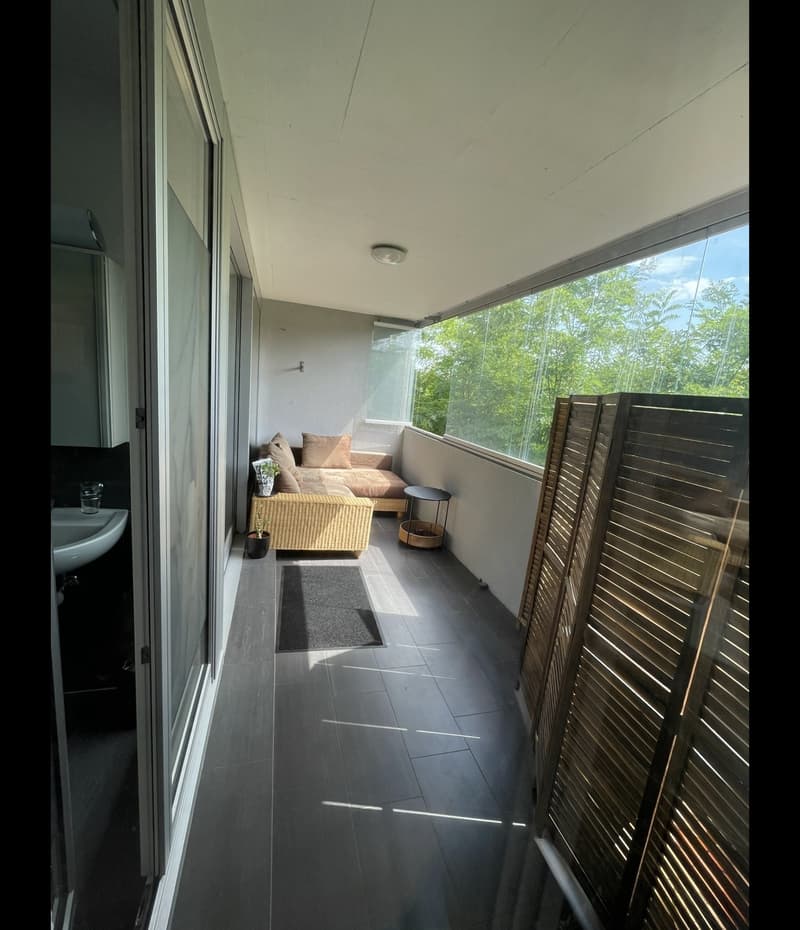 Professional shared accommodation all inclusive, with private bathroom, cleaning lady, large balcony: central (10 min to main station, 4 min to Oerlikon + 5 min to airport) (4)