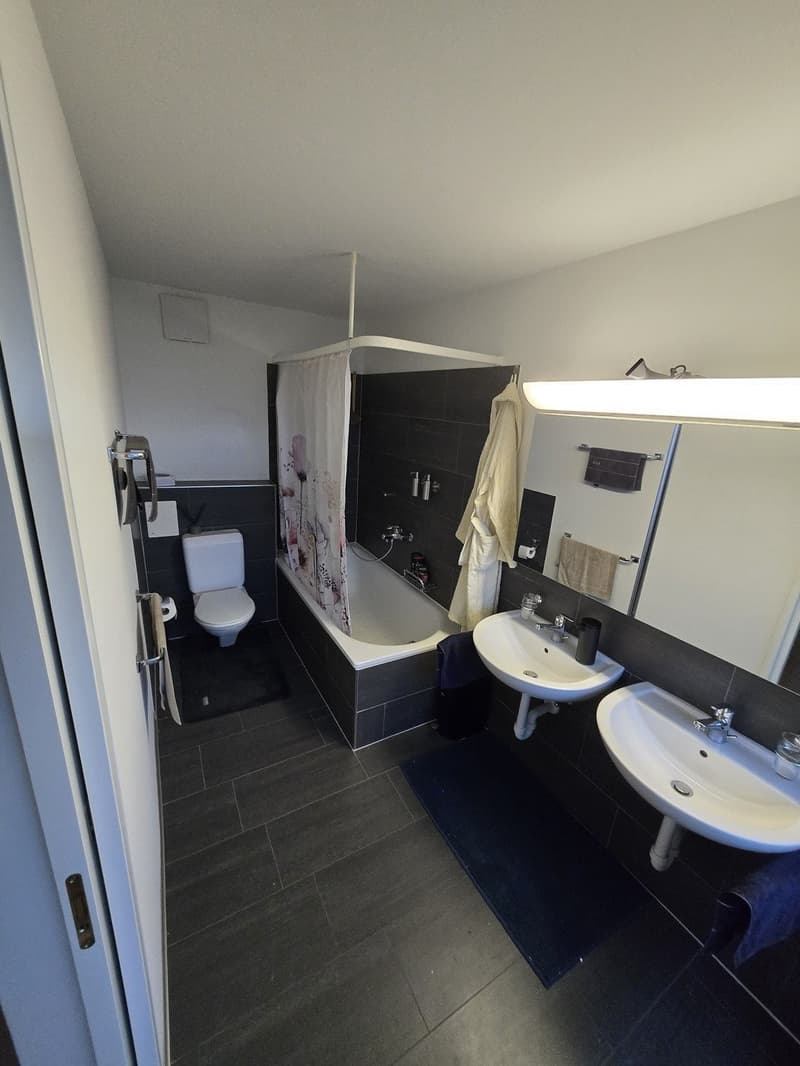 Professional shared accommodation all inclusive, with private bathroom, cleaning lady, large balcony: central (10 min to main station, 4 min to Oerlikon + 5 min to airport) (8)