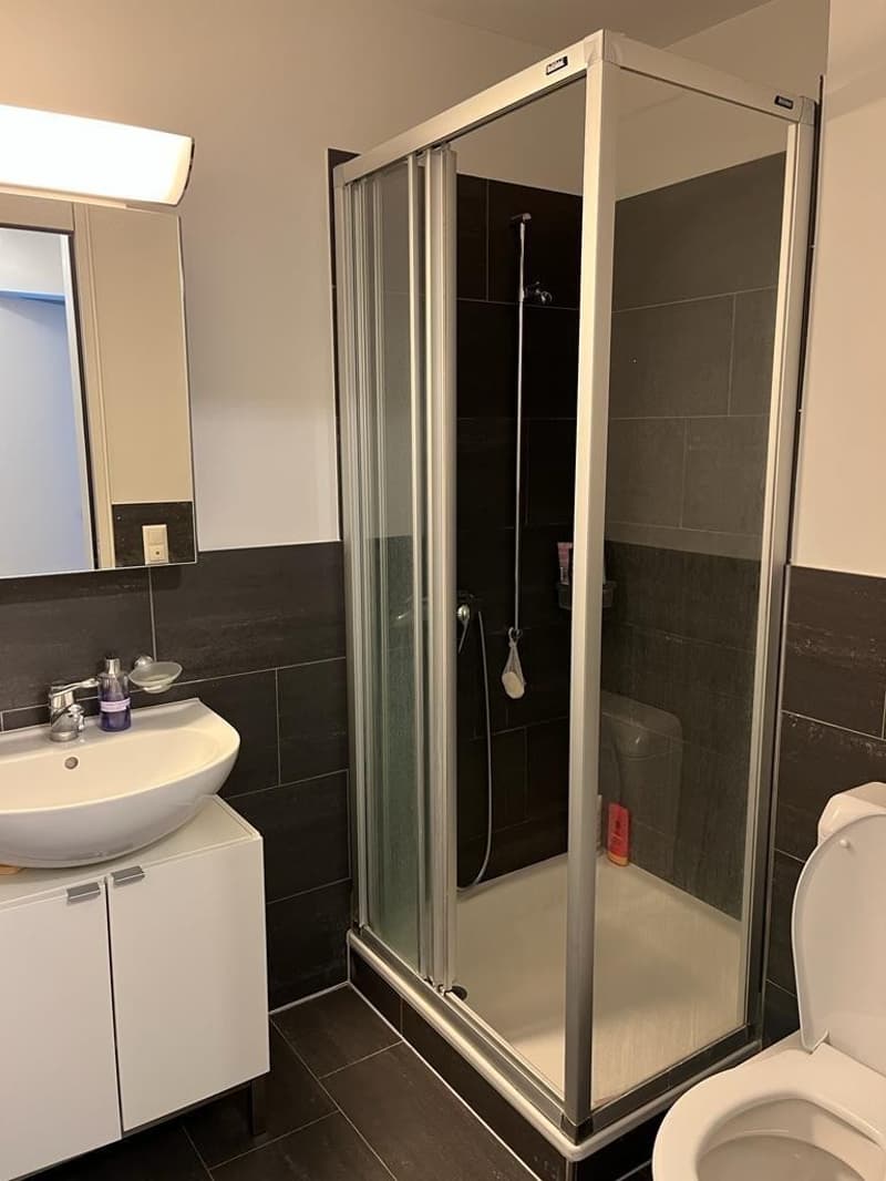 Professional shared accommodation all inclusive, with private bathroom, cleaning lady, large balcony: central (10 min to main station, 4 min to Oerlikon + 5 min to airport) (6)