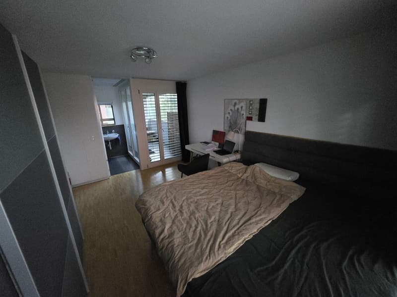 Professional shared accommodation all inclusive, with private bathroom, cleaning lady, large balcony: central (10 min to main station, 4 min to Oerlikon + 5 min to airport) (12)