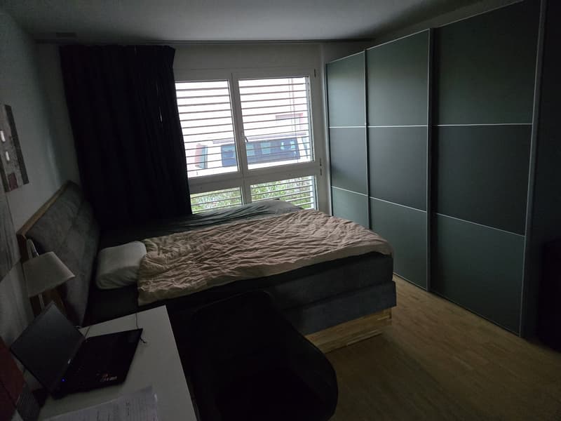 Professional shared accommodation all inclusive, with private bathroom, cleaning lady, large balcony: central (10 min to main station, 4 min to Oerlikon + 5 min to airport) (13)