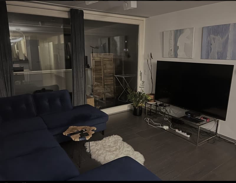 Professional shared accommodation all inclusive, with private bathroom, cleaning lady, large balcony: central (10 min to main station, 4 min to Oerlikon + 5 min to airport) (1)