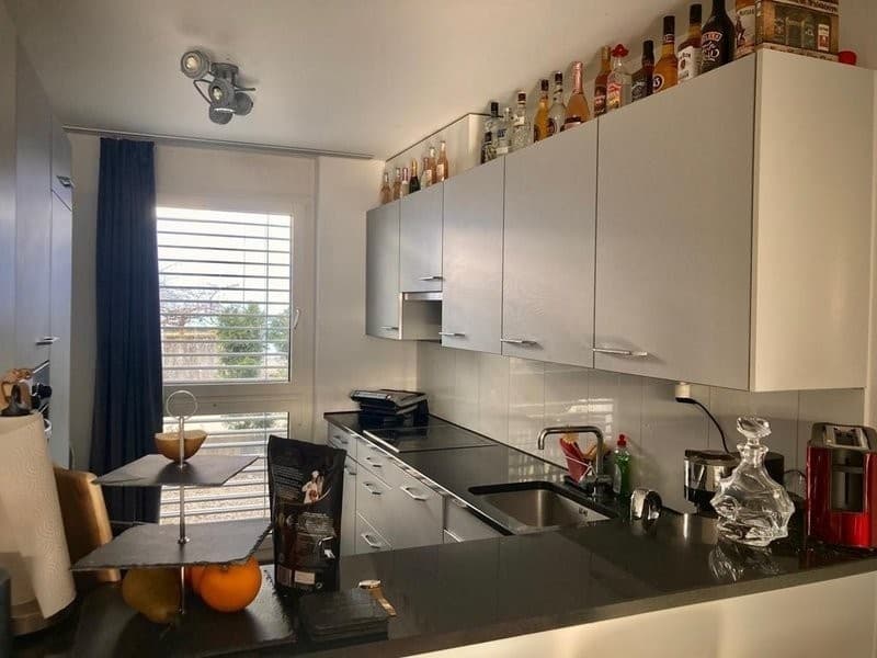 Professional shared accommodation all inclusive, with private bathroom, cleaning lady, large balcony: central (10 min to main station, 4 min to Oerlikon + 5 min to airport) (7)