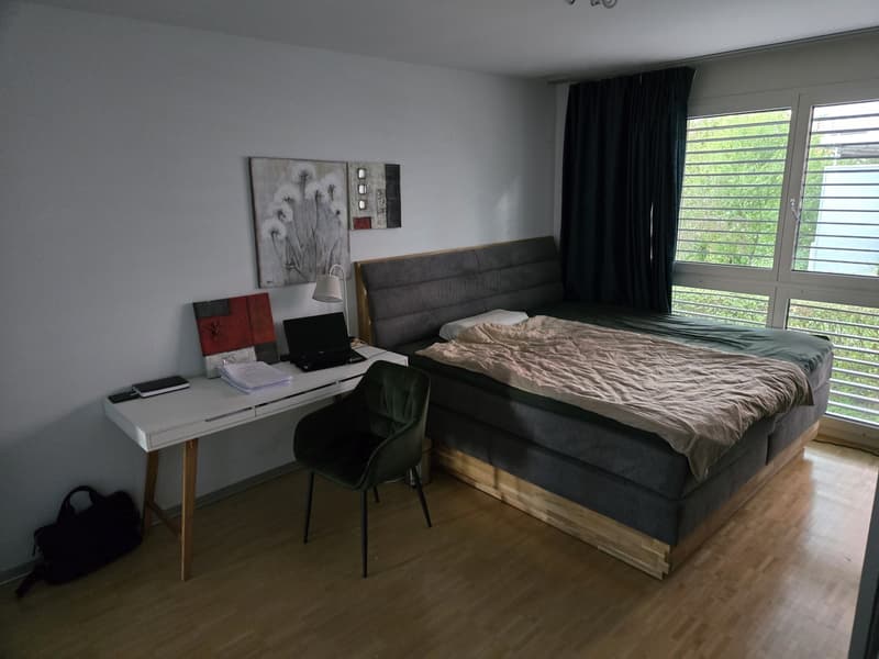 Professional shared accommodation all inclusive, with private bathroom, cleaning lady, large balcony: central (10 min to main station, 4 min to Oerlikon + 5 min to airport) (11)