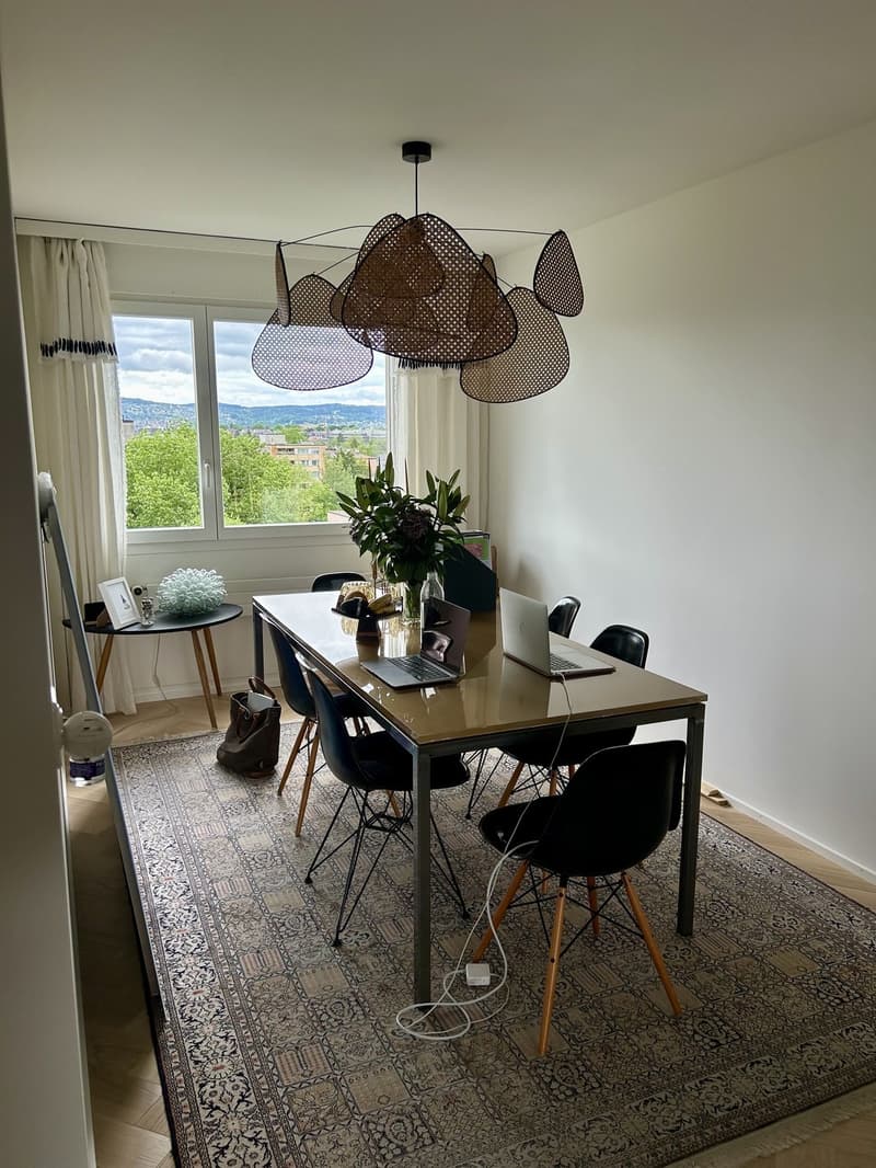 WG in Zürich (10 Monate) / Shared flat in Zurich (10 months) (6)