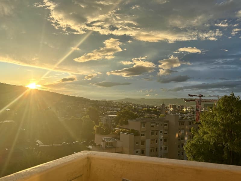 WG in Zürich (10 Monate) / Shared flat in Zurich (10 months) (7)
