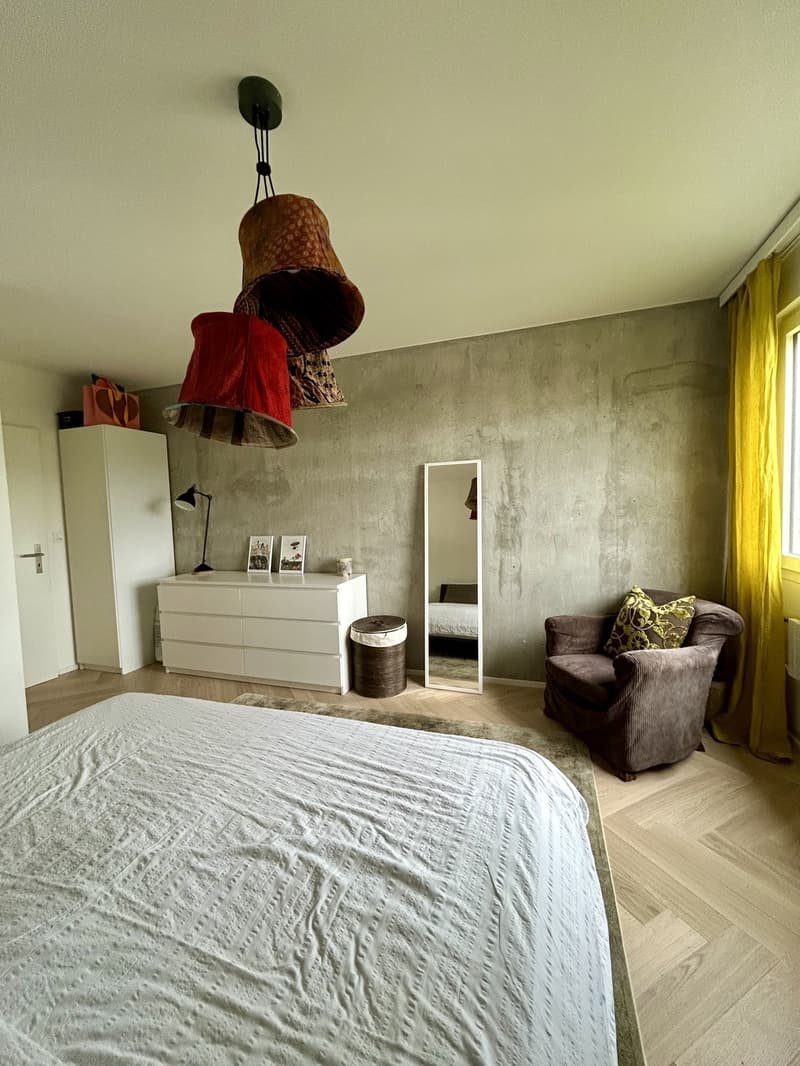 WG in Zürich (10 Monate) / Shared flat in Zurich (10 months) (2)