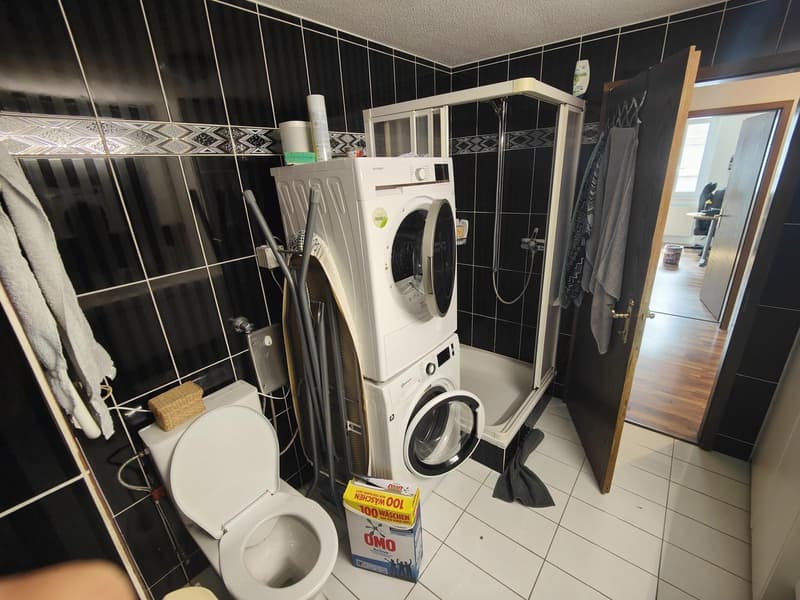 Zimmer in gemütlicher 4er-WG mit grossem Gemeinschaftsbereich (9)