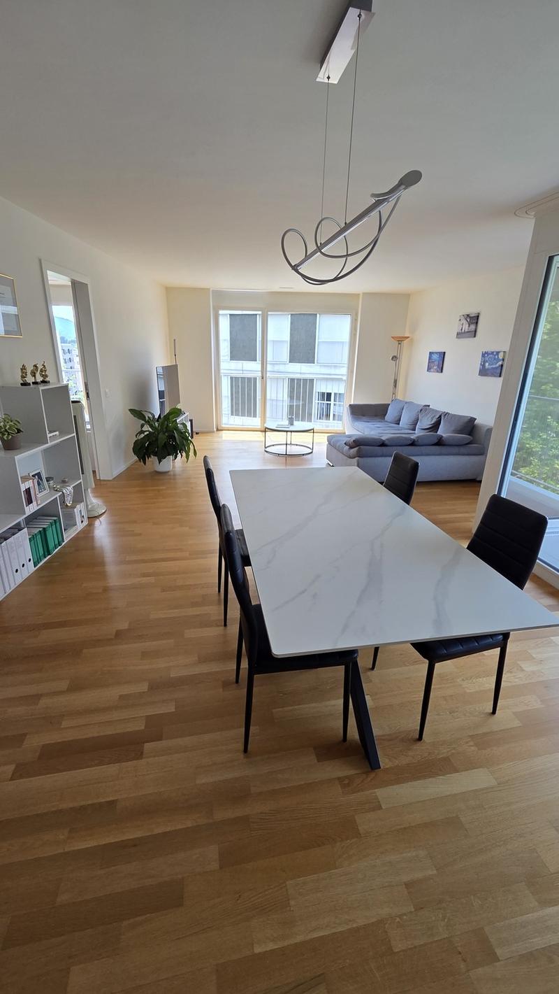 Appartement lumineux, grand et meublé (6)