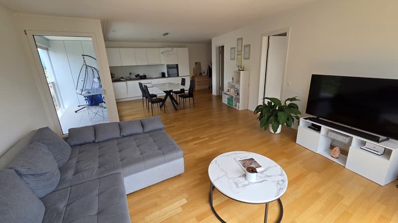 Appartement lumineux, grand et meublé (3)