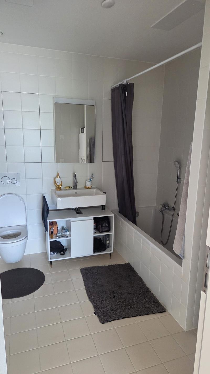 Appartement lumineux, grand et meublé (5)