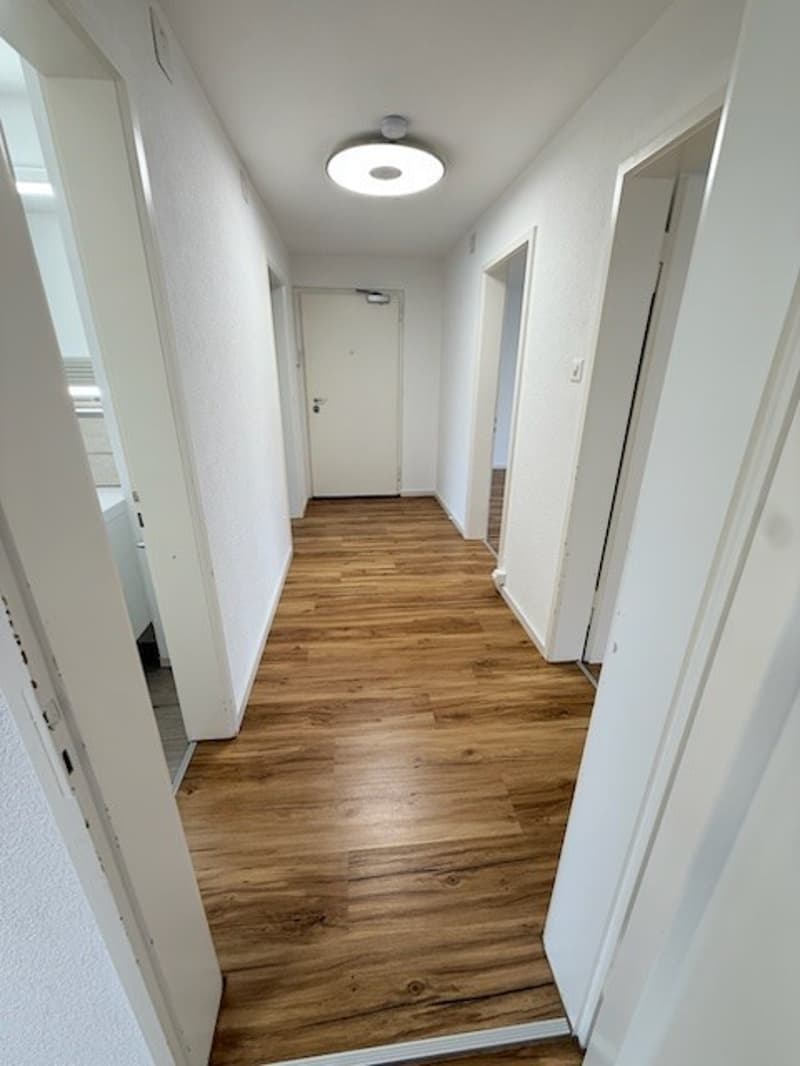 möbliertes Zimmer in 2er-WG in Wiedikon (8)