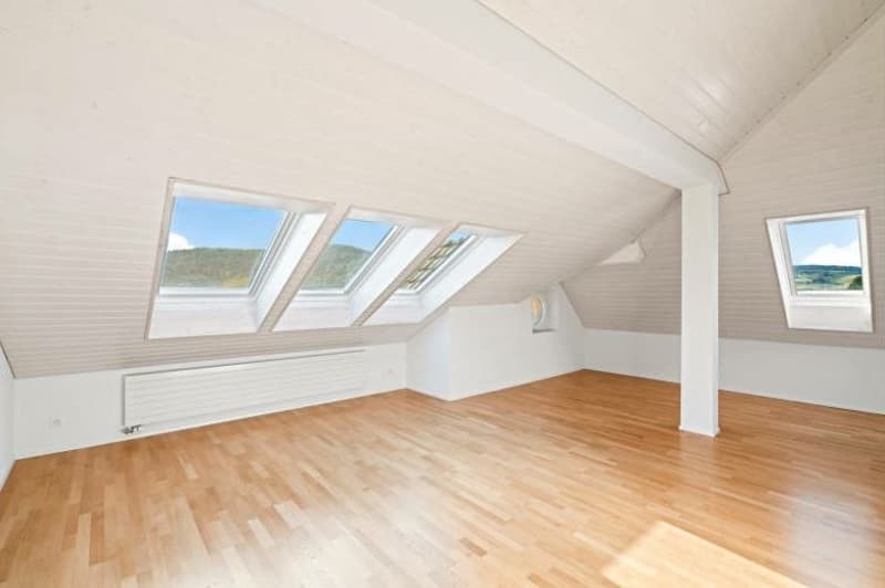 Tenant wanted - attic apartment in Wülflingen (1)