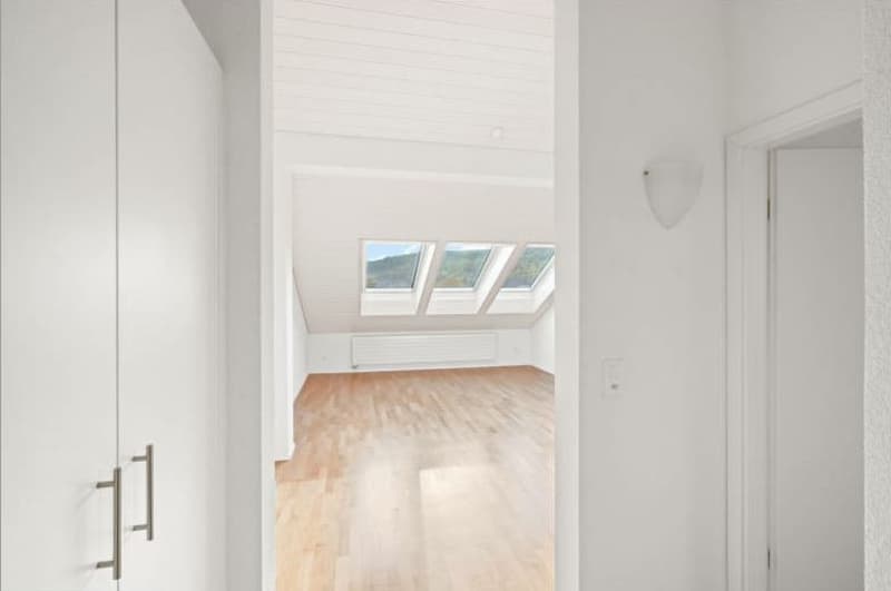 Tenant wanted - attic apartment in Wülflingen (3)