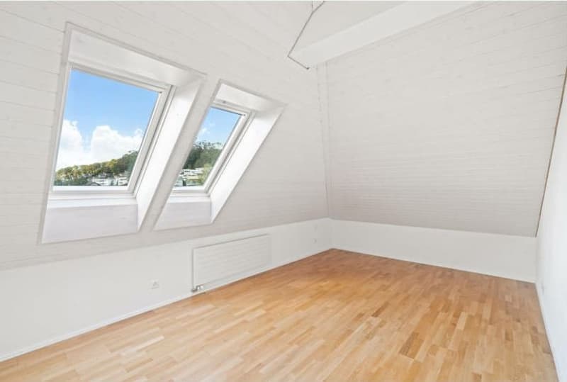 Tenant wanted - attic apartment in Wülflingen (4)