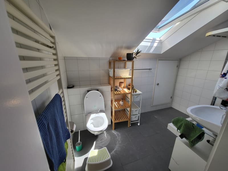 Appartamento di 4 ½ locali, 8404 Winterthur (8)