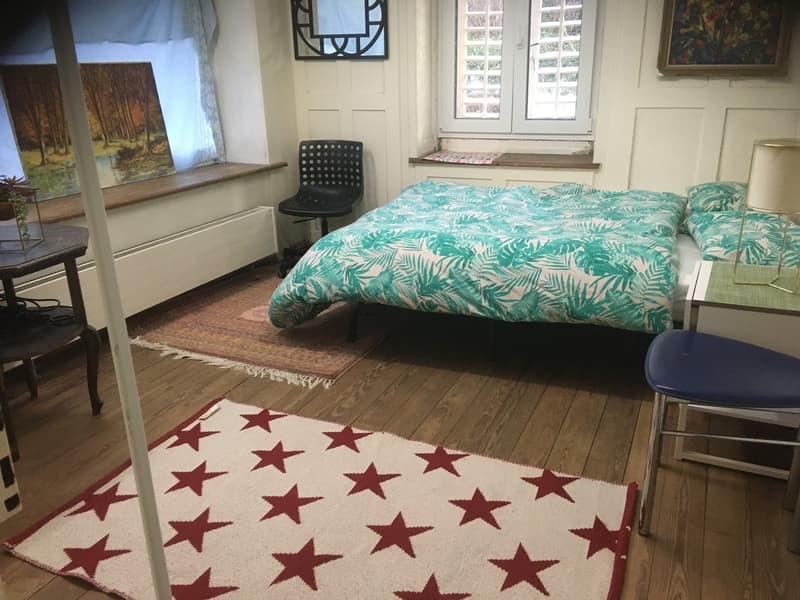 Beautiful room in prime location in the city center, Seefeld with terrace (1)