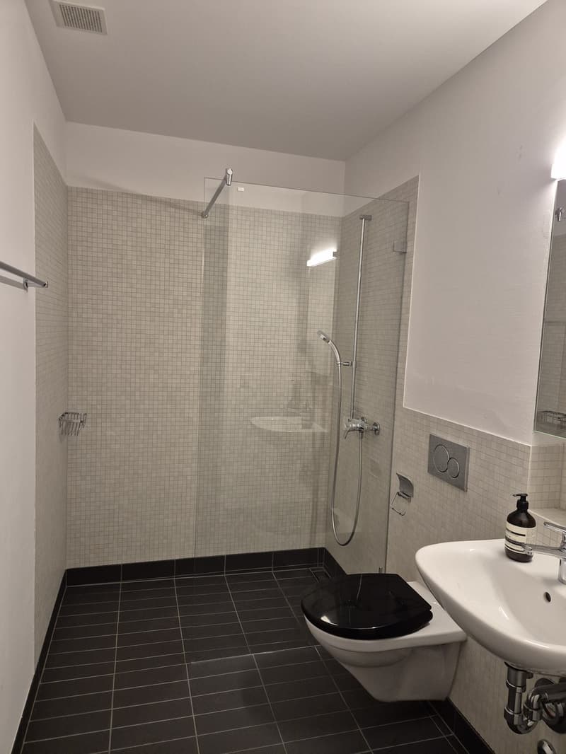 Spacious room with private bathroom in shared apartment (WG) (8)