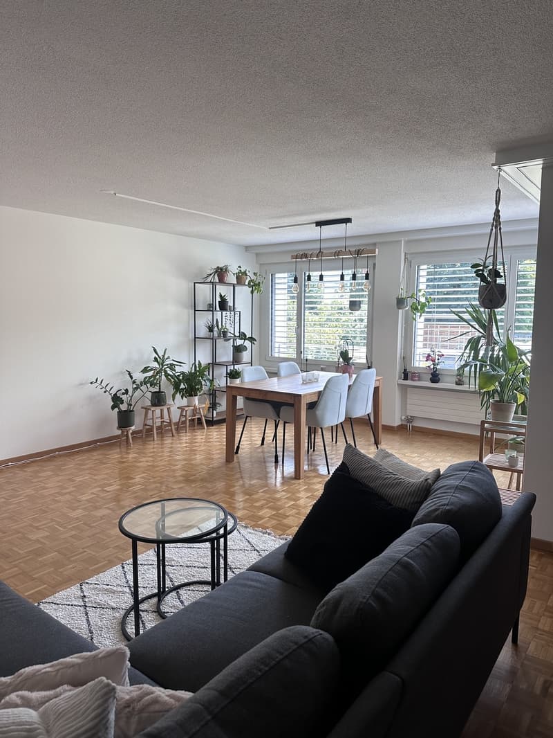 Furnished 2.5-room apartment in Rotkreuz for rent temporarily (1)