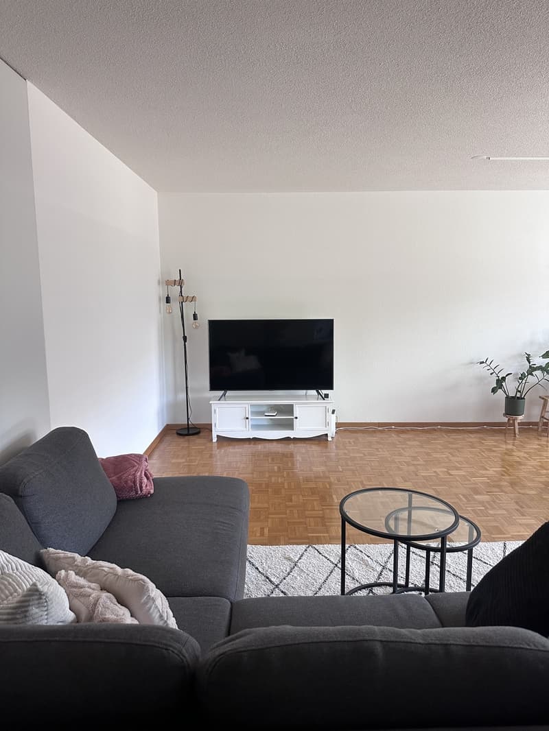 Furnished 2.5-room apartment in Rotkreuz for rent temporarily (2)