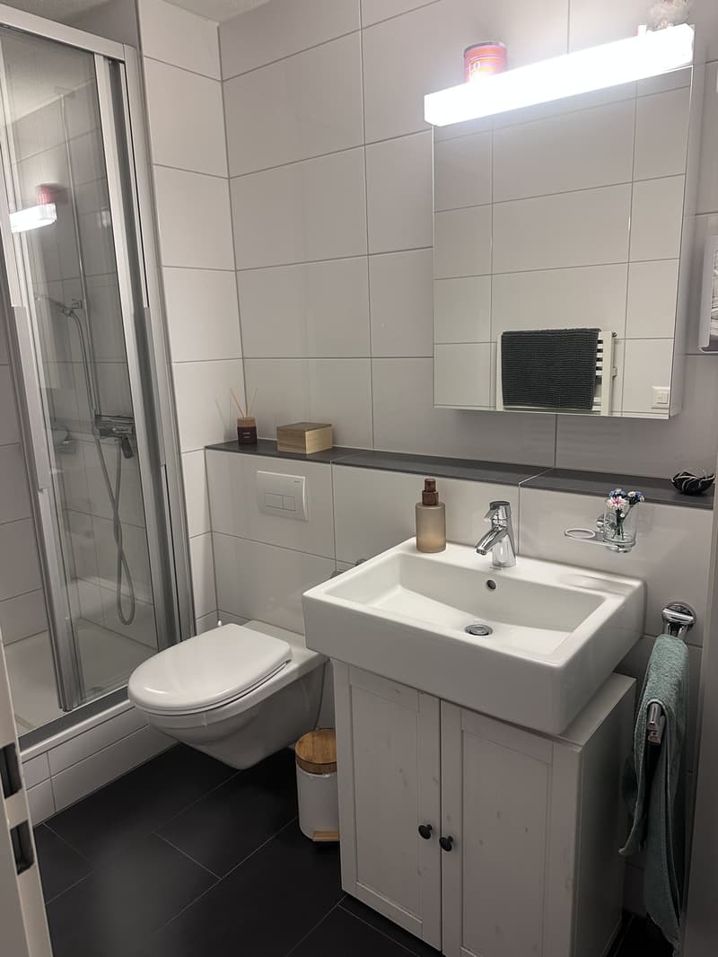 Furnished 2.5-room apartment in Rotkreuz for rent temporarily (4)