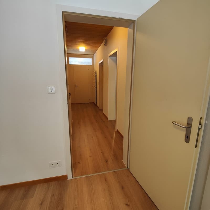Appartement fraîchement rénové dans un endroit calme avec vue sur la montagne (2)