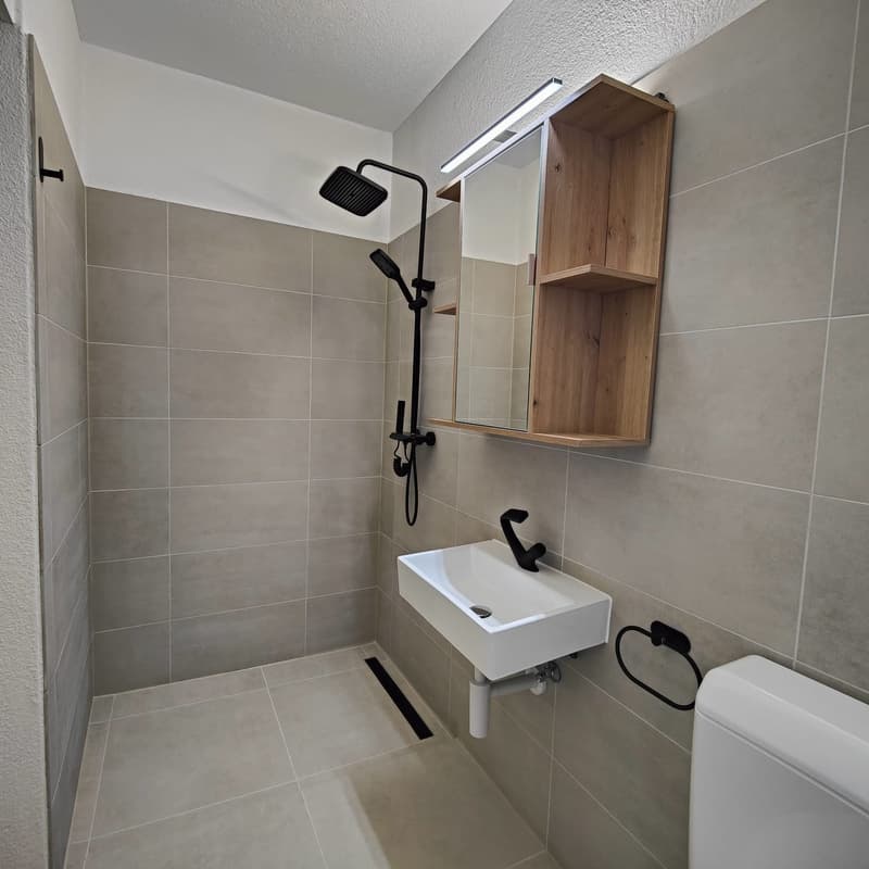 Appartement fraîchement rénové dans un endroit calme avec vue sur la montagne (3)