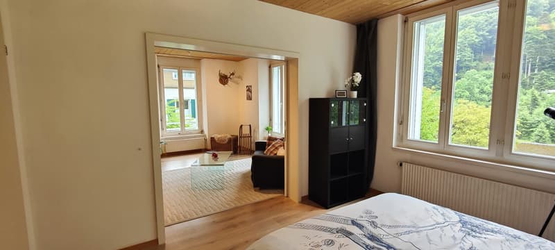 Appartement fraîchement rénové dans un endroit calme avec vue sur la montagne (7)