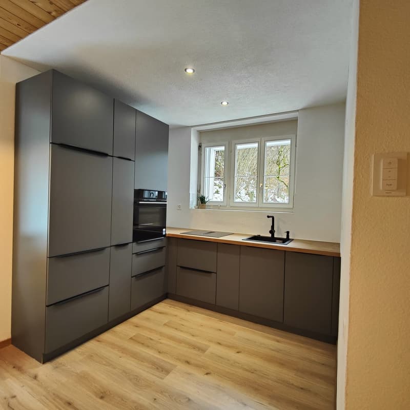 Appartement fraîchement rénové dans un endroit calme avec vue sur la montagne (6)