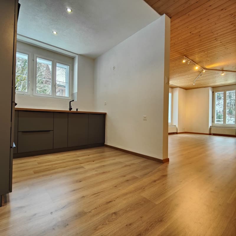 Appartement fraîchement rénové dans un endroit calme avec vue sur la montagne (5)