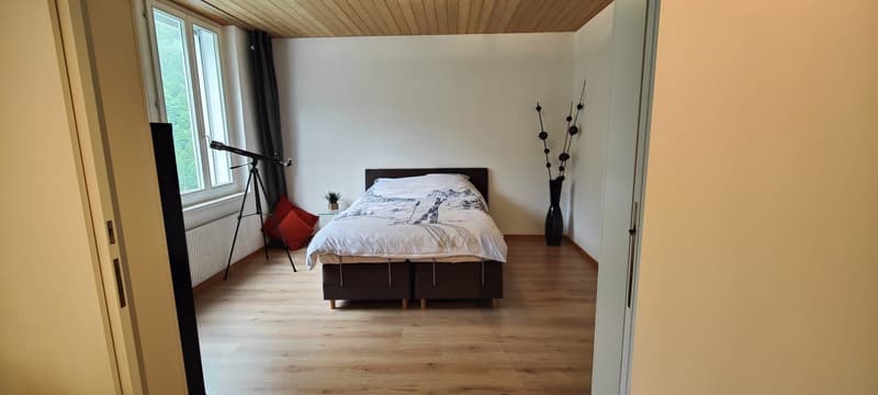 Appartement fraîchement rénové dans un endroit calme avec vue sur la montagne (8)