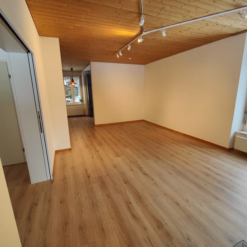 Appartement fraîchement rénové dans un endroit calme avec vue sur la montagne (1)