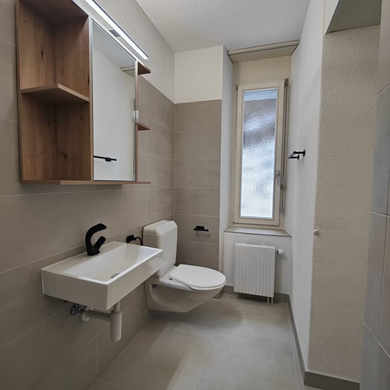 Appartement fraîchement rénové dans un endroit calme avec vue sur la montagne (4)