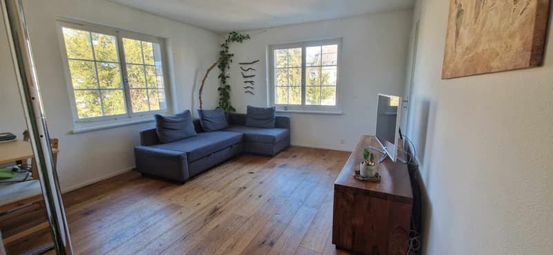 Appartement lumineux et agréable à Stäfa (1)