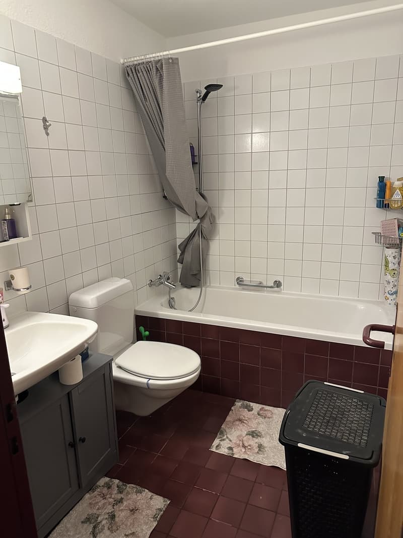 4 Zi.Appartement im 4.OG + Direktlift + Panoramaterasse (5)