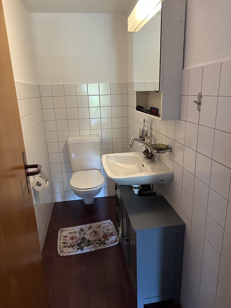 4 Zi.Appartement im 4.OG + Direktlift + Panoramaterasse (3)