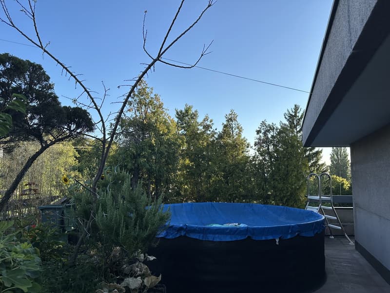 4 Zi.Appartement im 4.OG + Direktlift + Panoramaterasse (4)