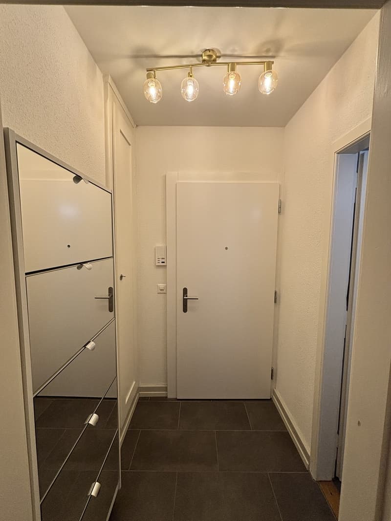 Helle 1-Zimmer-Studiowohnung an der Weissensteinstrasse (9)