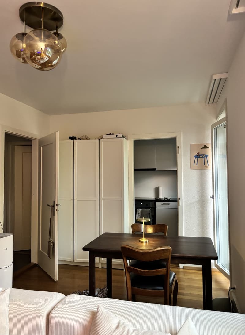 Helle 1-Zimmer-Studiowohnung an der Weissensteinstrasse (1)