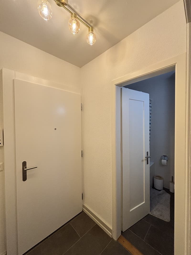 Helle 1-Zimmer-Studiowohnung an der Weissensteinstrasse (8)