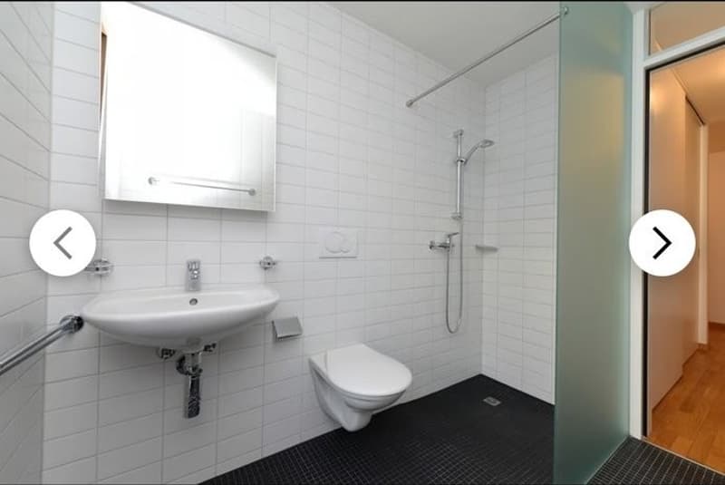 Appartamento 4 ½ locali, 2503 Bienna (3)