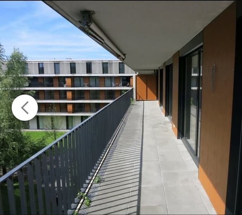 Appartamento 4 ½ locali, 2503 Bienna (10)