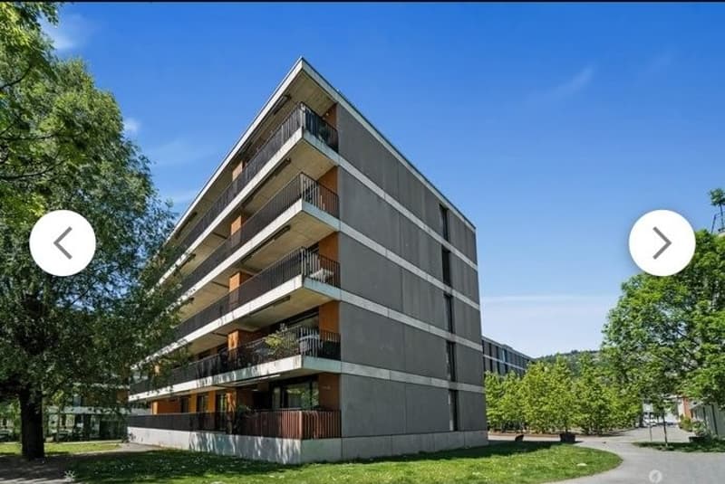 Appartamento 4 ½ locali, 2503 Bienna (2)